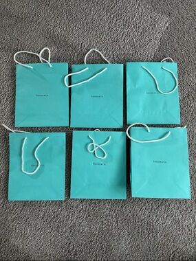 Tiffany & Co. Medium Size Blue Gift Bags with White Rope Handles